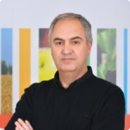rui oliveira