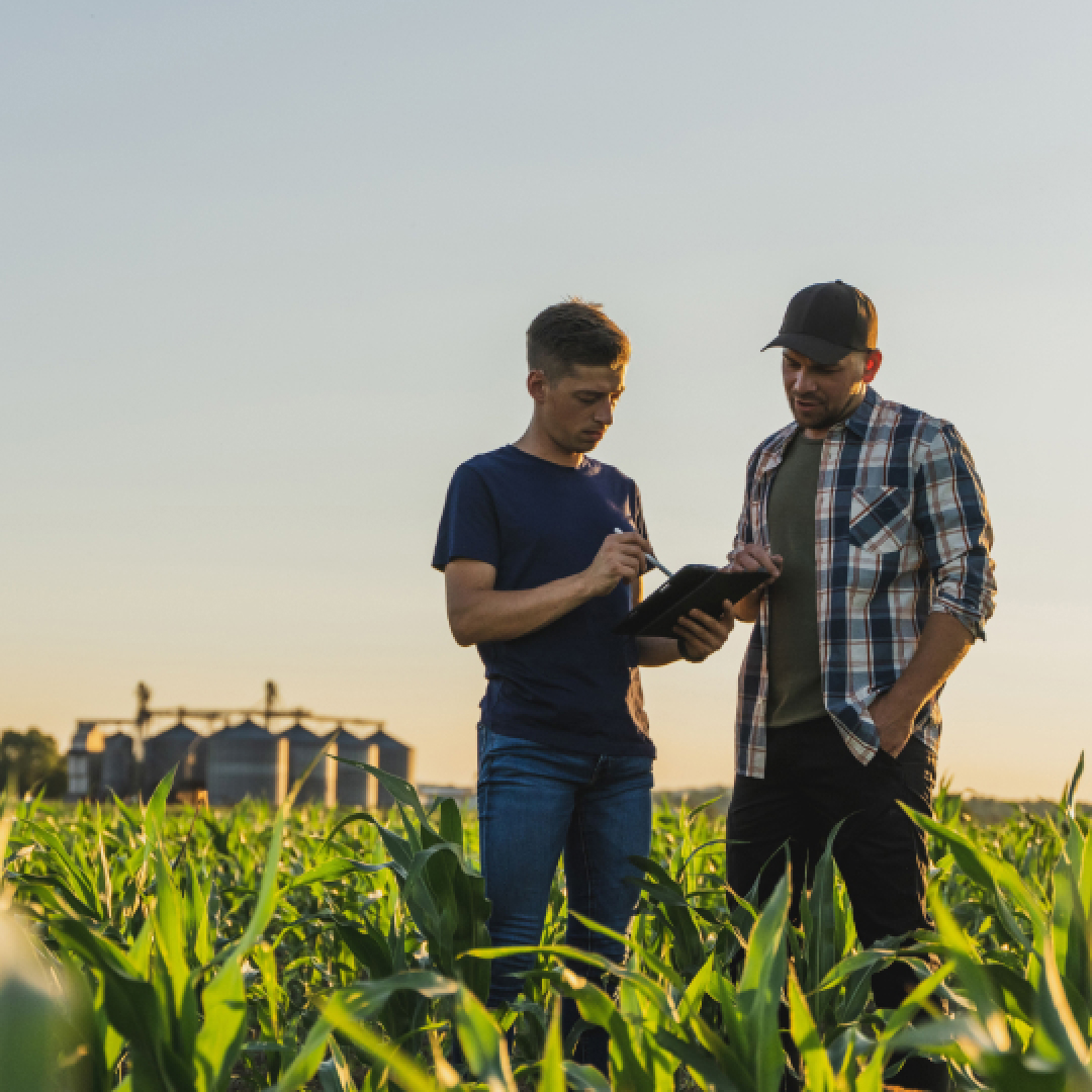 sygenta-customer-figure